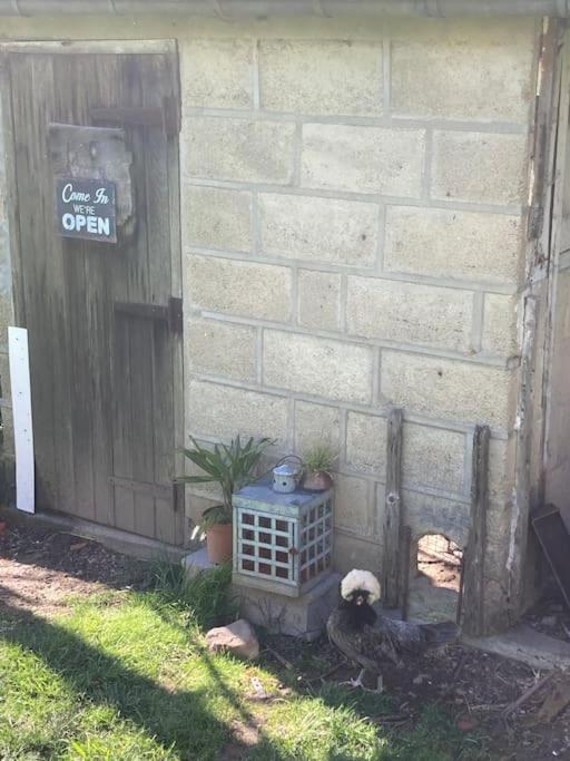 Gite Au Coeur De La Suisse Normande Villa Clécy Exterior foto